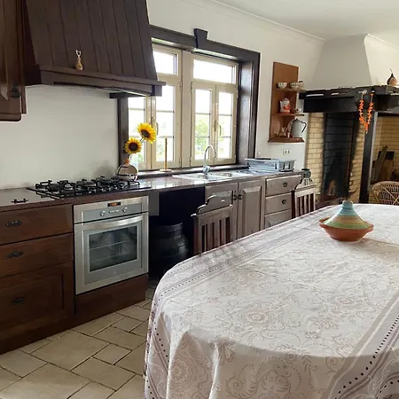 Casa Andorinhas - Campo E Piscina Bajouca de Cima