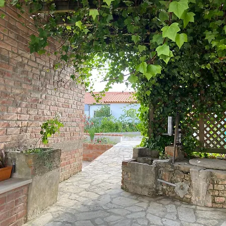 Casa Andorinhas - Campo E Piscina Bajouca de Cima