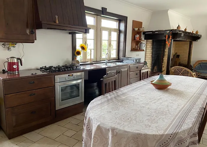 Casa Andorinhas - Campo E Piscina Bajouca de Cima