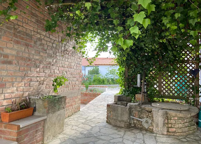 Casa Andorinhas - Campo E Piscina Bajouca de Cima